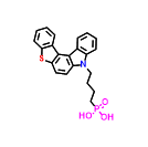 DBT34ID